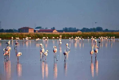 Ferienhaus mit Garten