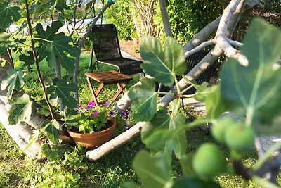 Appartamento Vacanza con famiglia Punat