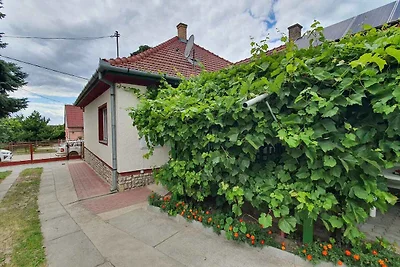Vakantiehuis Ontspannende vakantie Siofok
