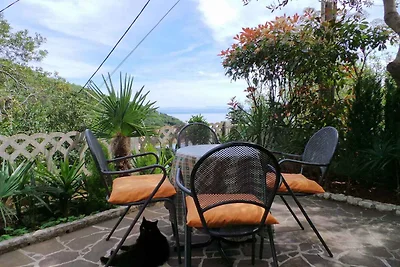 Ferienwohnung mit Klimaanlage und Terrasse