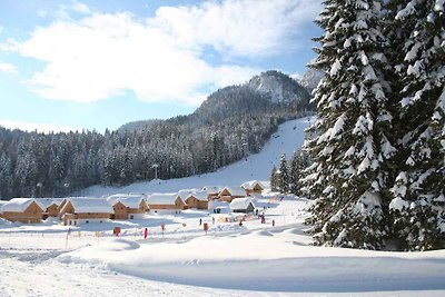 Vakantiehuis Ontspannende vakantie Altaussee