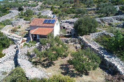 Ferienhaus mit Grill und Garten