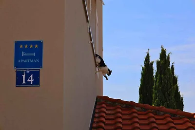 Appartamento Vacanza con famiglia Umago