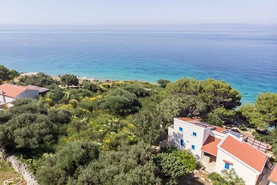 Ferienhaus mit Garten und Meerblick