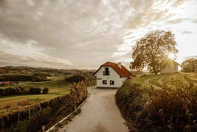 Ferienhaus mit Sauna und Grillmöglichkeit