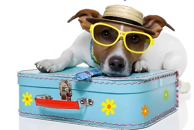 Vakantiehuis Ontspannende vakantie Jadranovo