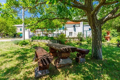 Ferienhaus mit Pool und Grill