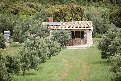 Ferienhaus mit Garten und Grillmöglichkeit