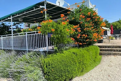 Ferienwohnung mit Terrasse und Aussenpool