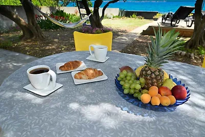 Vakantiehuis Ontspannende vakantie Banj