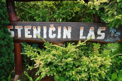 Ferienhaus mit Internetanschluss