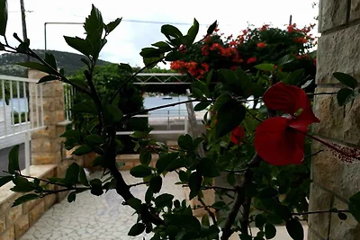 Appartamento Vacanza con famiglia Vinisce