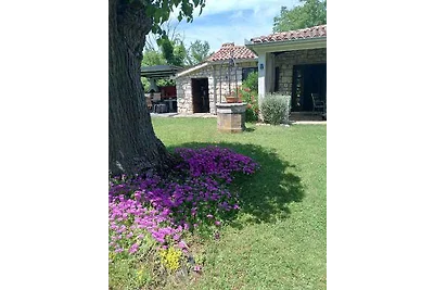 Ferienhaus in der Natur und ruhiger Lage