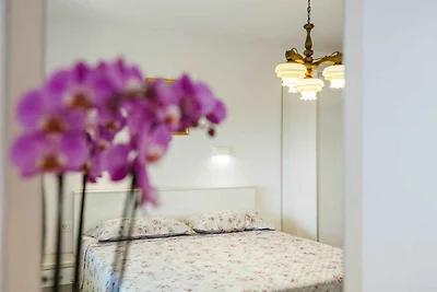 Ferienwohnung mit Klimaanlage und Terrasse