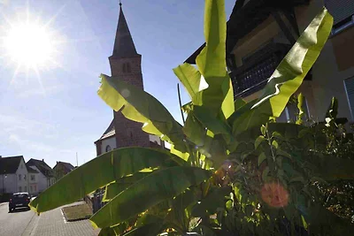 Appartamento Vacanza con famiglia Fischbach Dahn