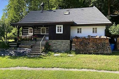 Ferienhaus mit Waschmaschine und überdachter