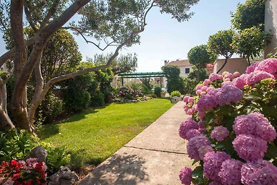 Vakantieappartement Gezinsvakantie Krk