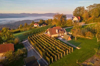 Casa vacanze Vacanza di relax Slovenia