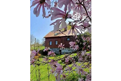 Casa vacanze Vacanza di relax Smržovka