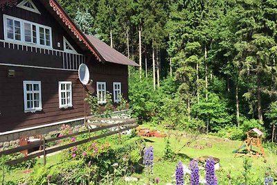 Berghütte mit Bademöglichkeit, Spielplatz und