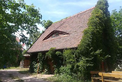 Ferienhaus Lehmhaus mit Naturbadeteich