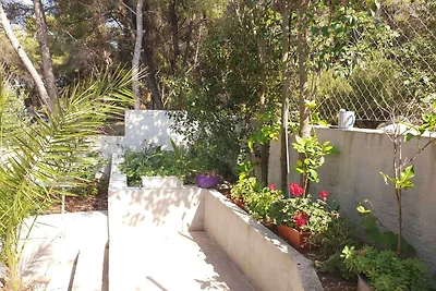 Ferienhaus liegt am Meer auf einer Insel
