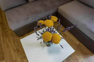 Ferienwohnung mit Klimaanlage, Internet und