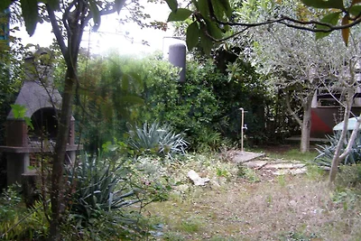 Ferienwohnung mit Terrasse und Grill