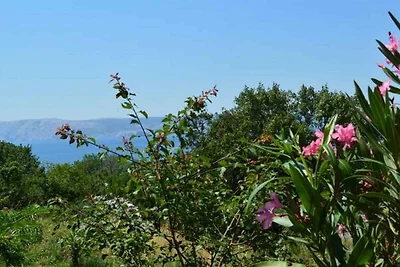 Vakantieappartement Gezinsvakantie Novi Vinodolski