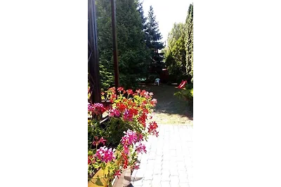 Ferienhaus mit grossem, gepflegtem Garten