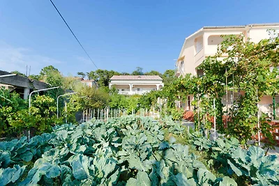 Vakantieappartement Gezinsvakantie Lopar