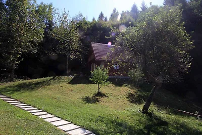 Casa vacanze Vacanza di relax Golik