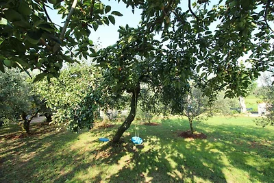 Ferienwohnung in grüner und ruhiger Lage