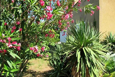 Ferienhaus 20 m zum Strand mit Terrasse