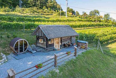 Hütte mit schöner Aussicht, Sauna und