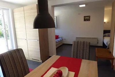 Studio mit Gemeinschaftsterrasse und Grill