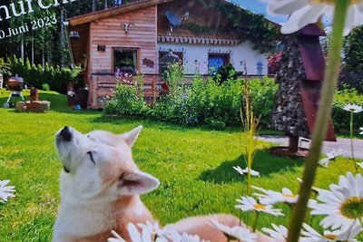 Ferienhaus in der Natur mit Whirlpool und Sau