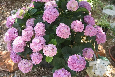 Holiday flat family holiday Kanica