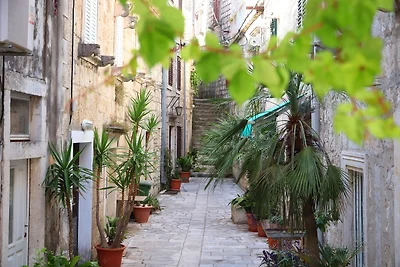 Studio Mit Meerblick und Terasse