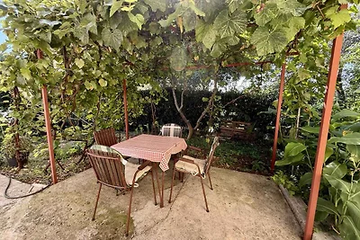 Ferienwohnung Ferienwohnung Ruza 4