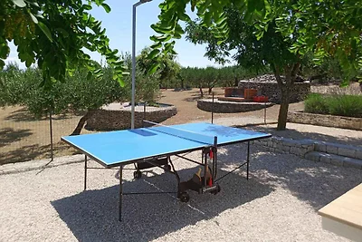Ferienhaus Mit Terasse und Pool