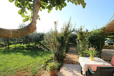 Appartamento Vacanza con famiglia Cittanova