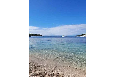 Ferienwohnung 300 m zum Strand