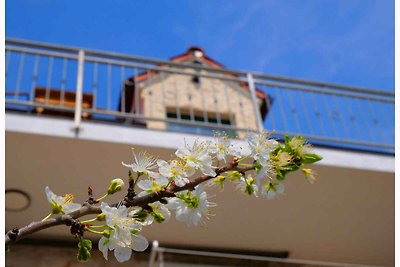 Ferienhaus mit Klimaanlage