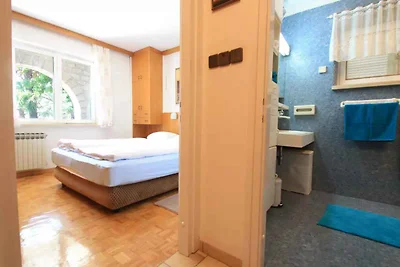 Ferienwohnung mit grosser Terrasse zur