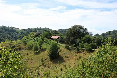 Ferienhaus von Weinbergen umgeben
