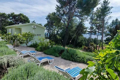 Ferienwohnung mit Meerblick