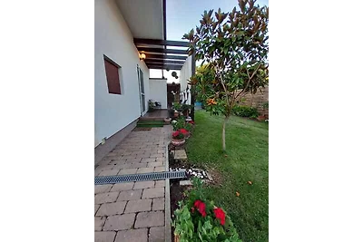 Ferienhaus mit Pool und Internet