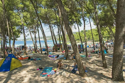 Gemütliche Ferienwohnung Anica in Primošten m