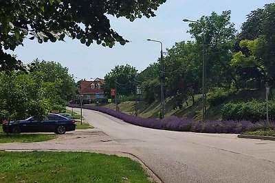 Ferienhaus in der Nähe vom Balaton Radweg mit